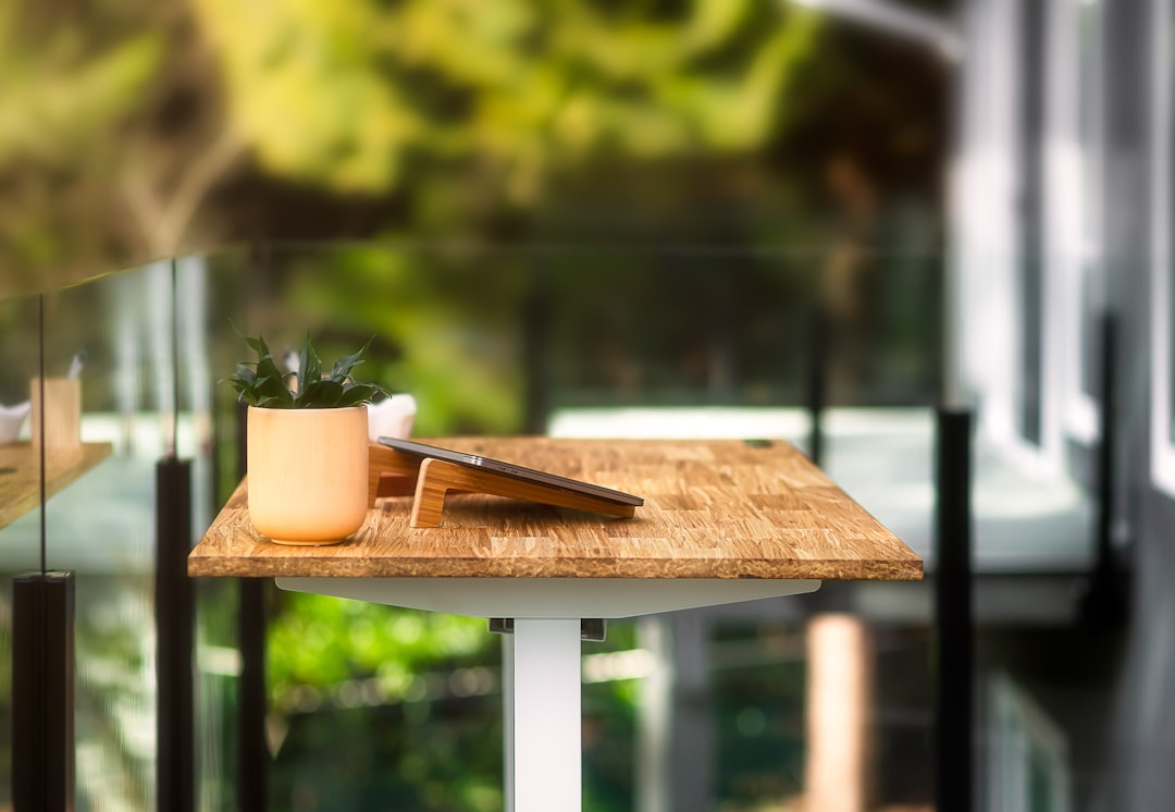 The Art of Creatively Mixing Luxury and Budget-Friendly Home Decor Products